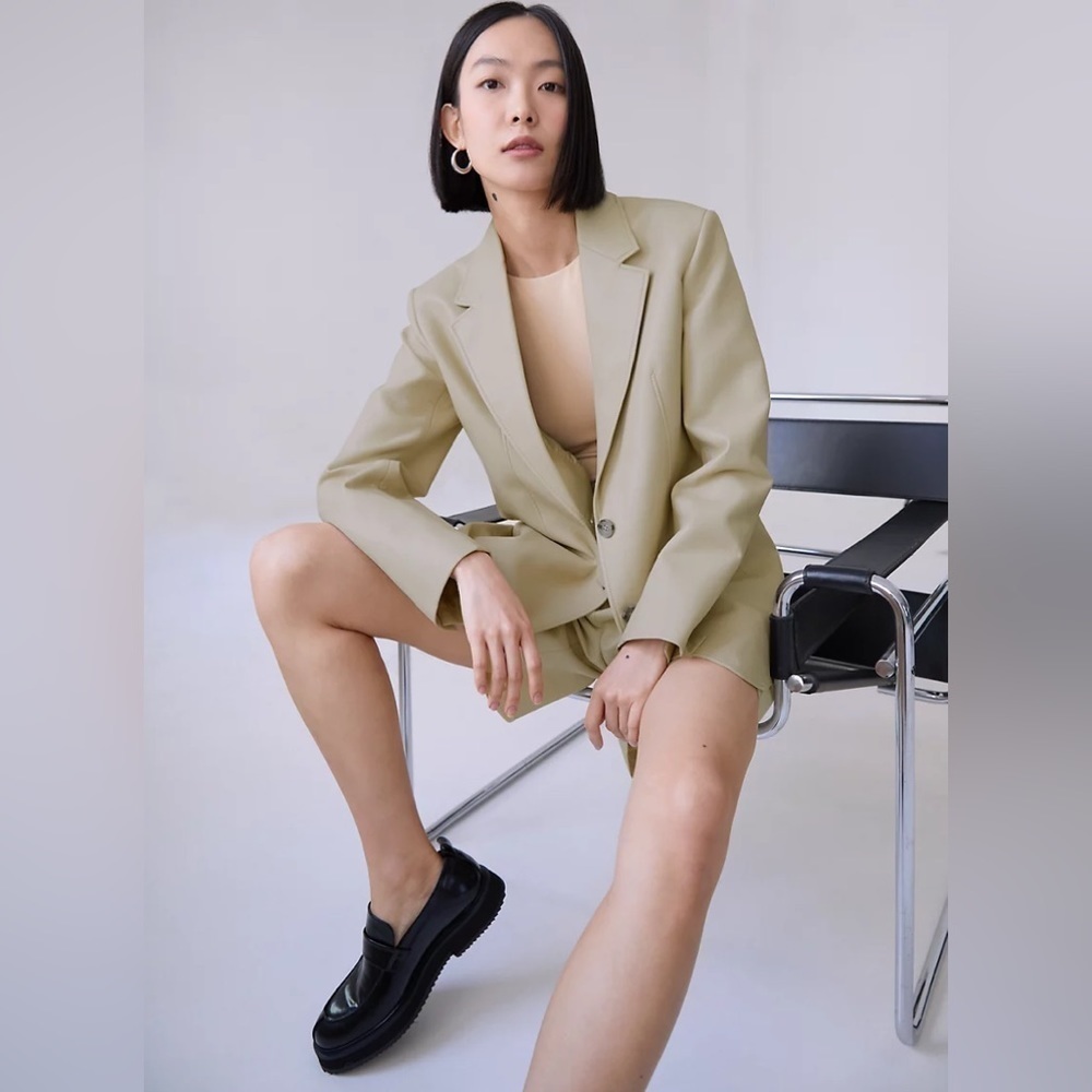 Aritzia Babaton Smith Blazer